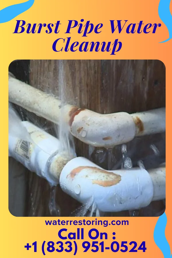 Burst Pipe Water Cleanup in Glenmont, OH