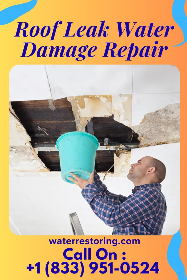 Roof Leak Water Damage Repair in Glenmont, OH